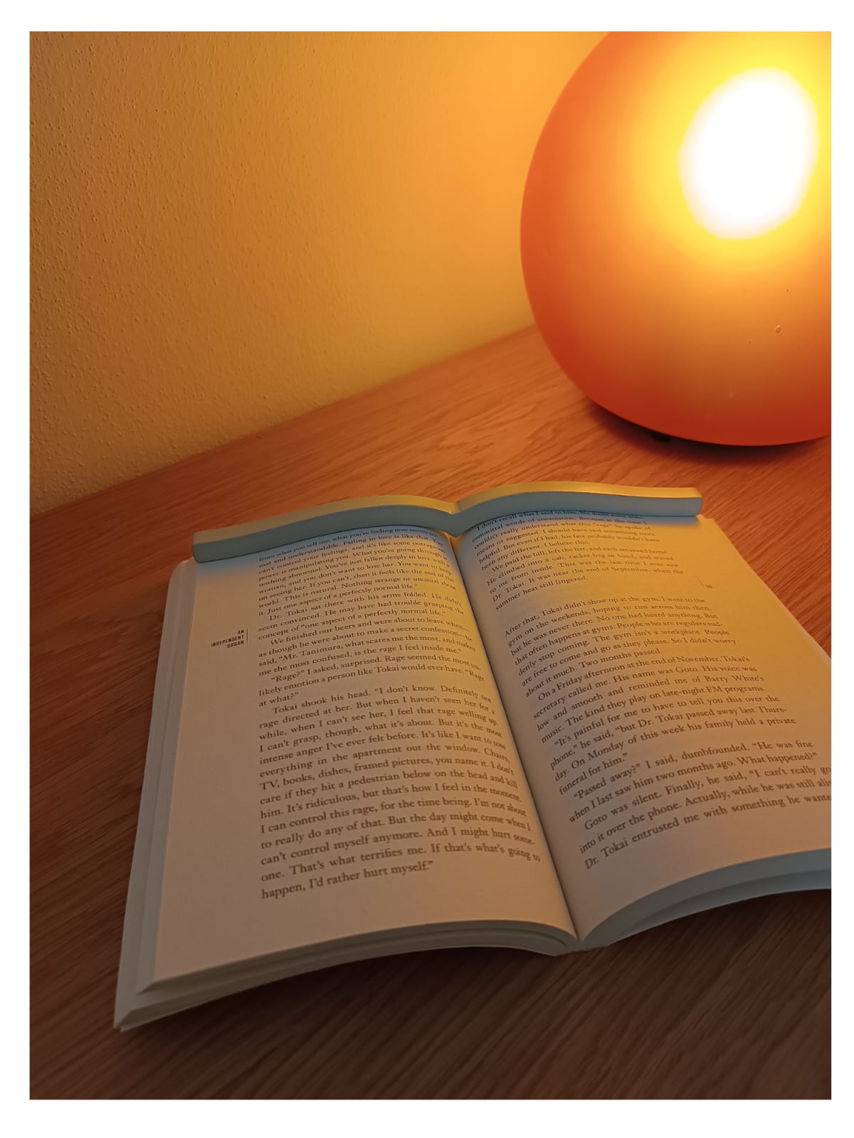 Japanese Book Stopper