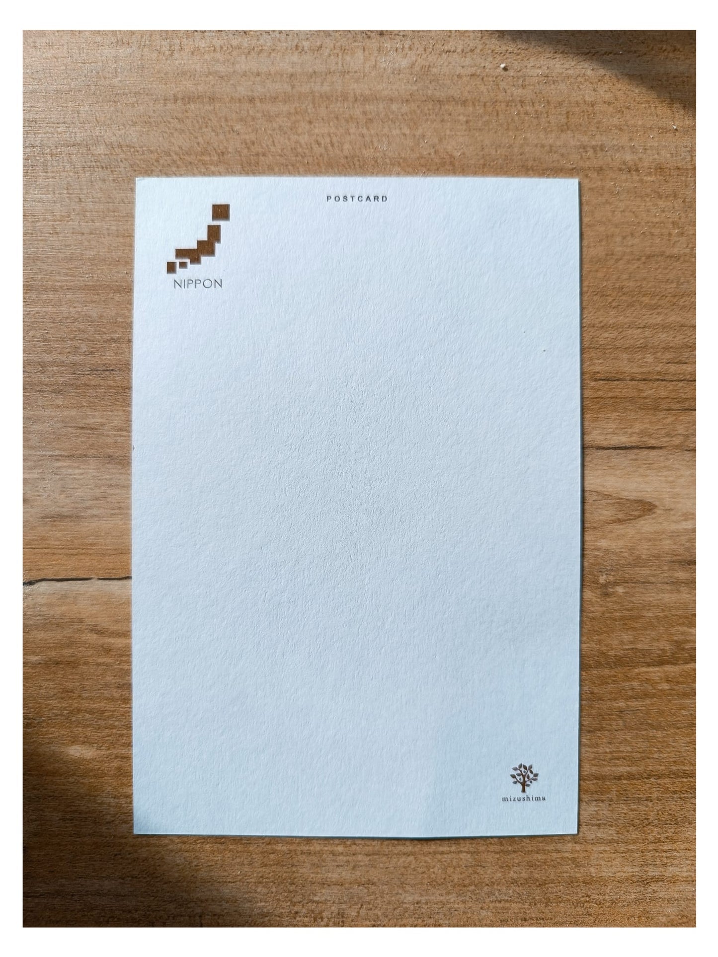 Post card DARUMA